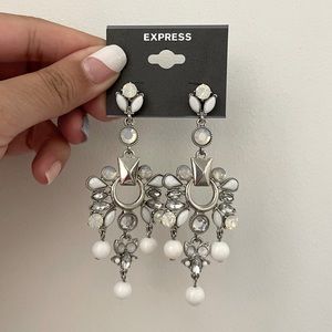 Express Dangle Earrings